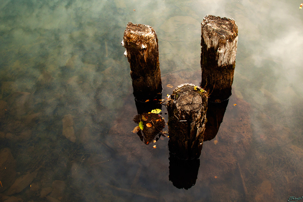 %_tempFileNameIMG_1805%