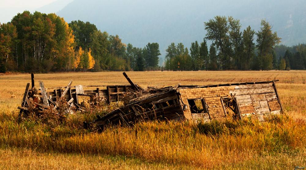 %_tempFileNameIMG_1811%