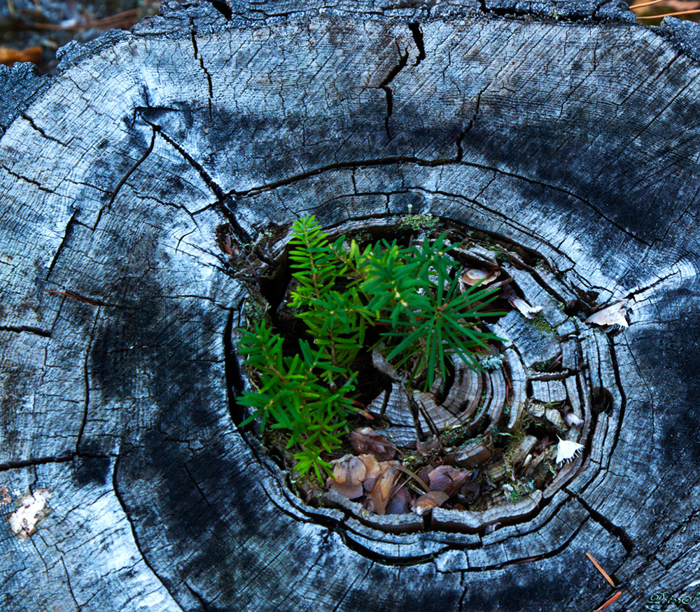 %_tempFileNameIMG_1827%