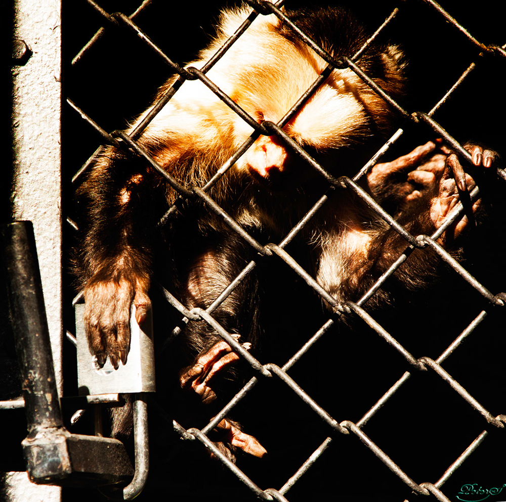 %_tempFileNameIMG_0811%