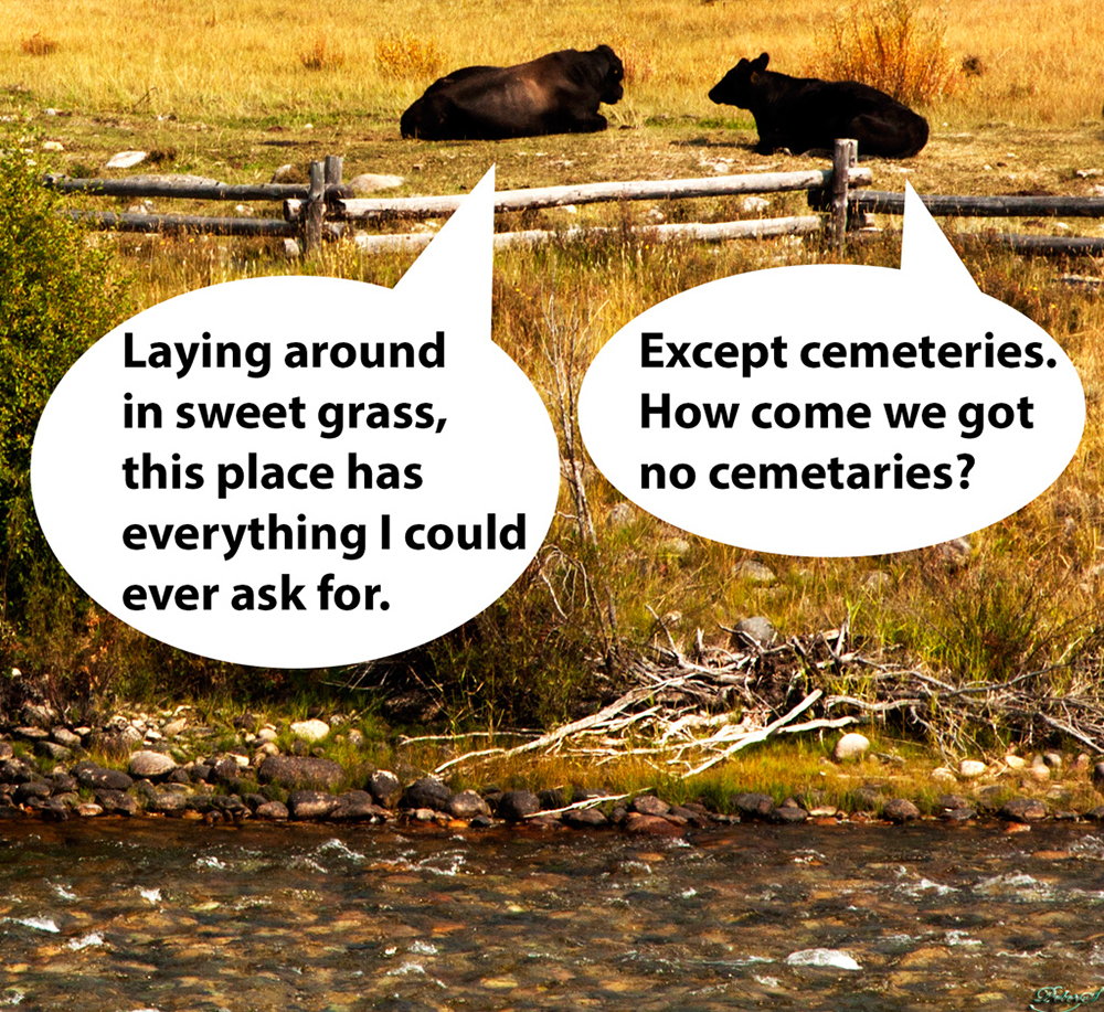 %_tempFileNameIMG_0821%