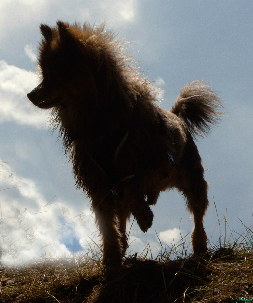 %_tempFileNameIMG_0835%