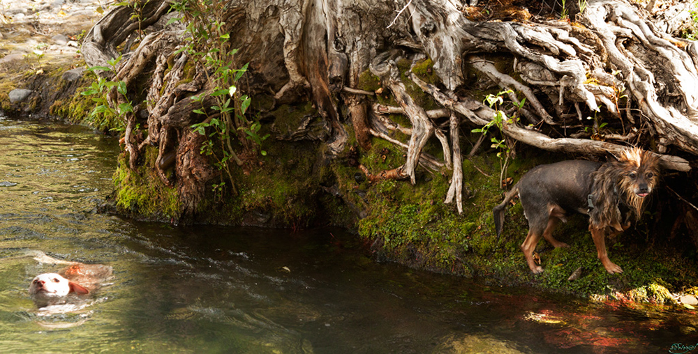 %_tempFileNameIMG_0843%