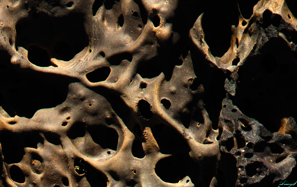 %_tempFileNameIMG_0856%