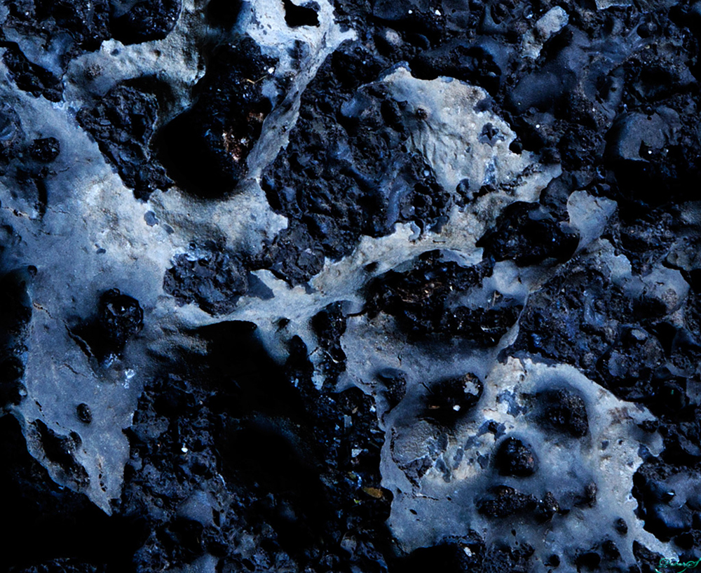 %_tempFileNameIMG_0860%