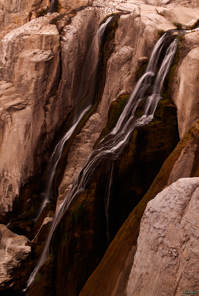 %_tempFileNameIMG_0911%