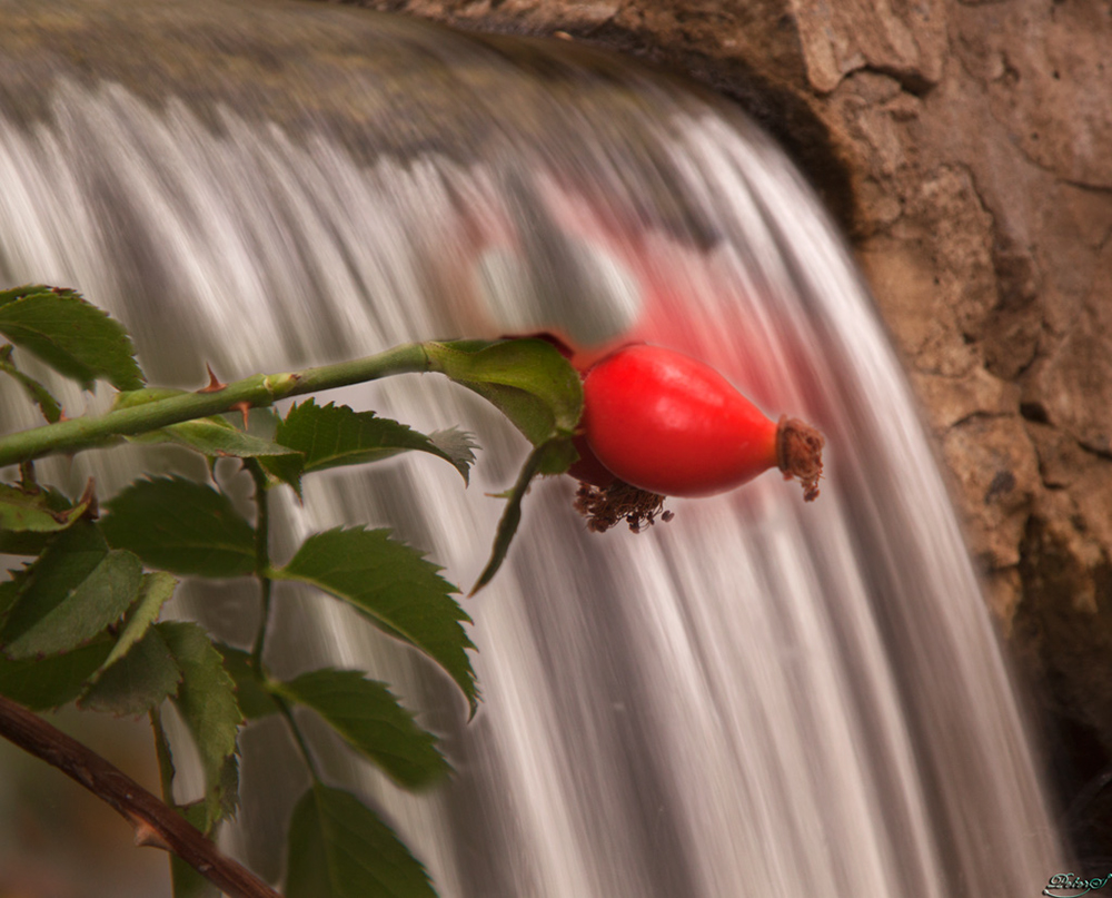 %_tempFileNameIMG_0918%