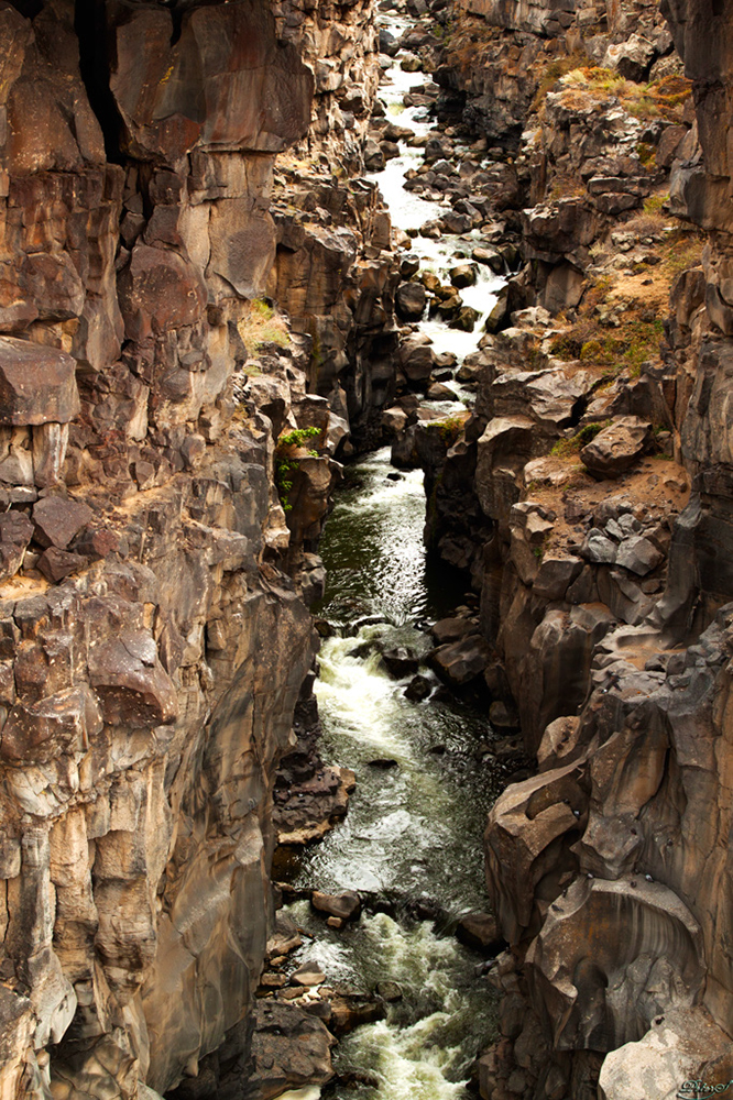 %_tempFileNameIMG_0930%