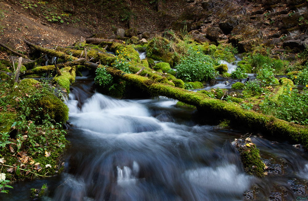 %_tempFileNameIMG_0961%