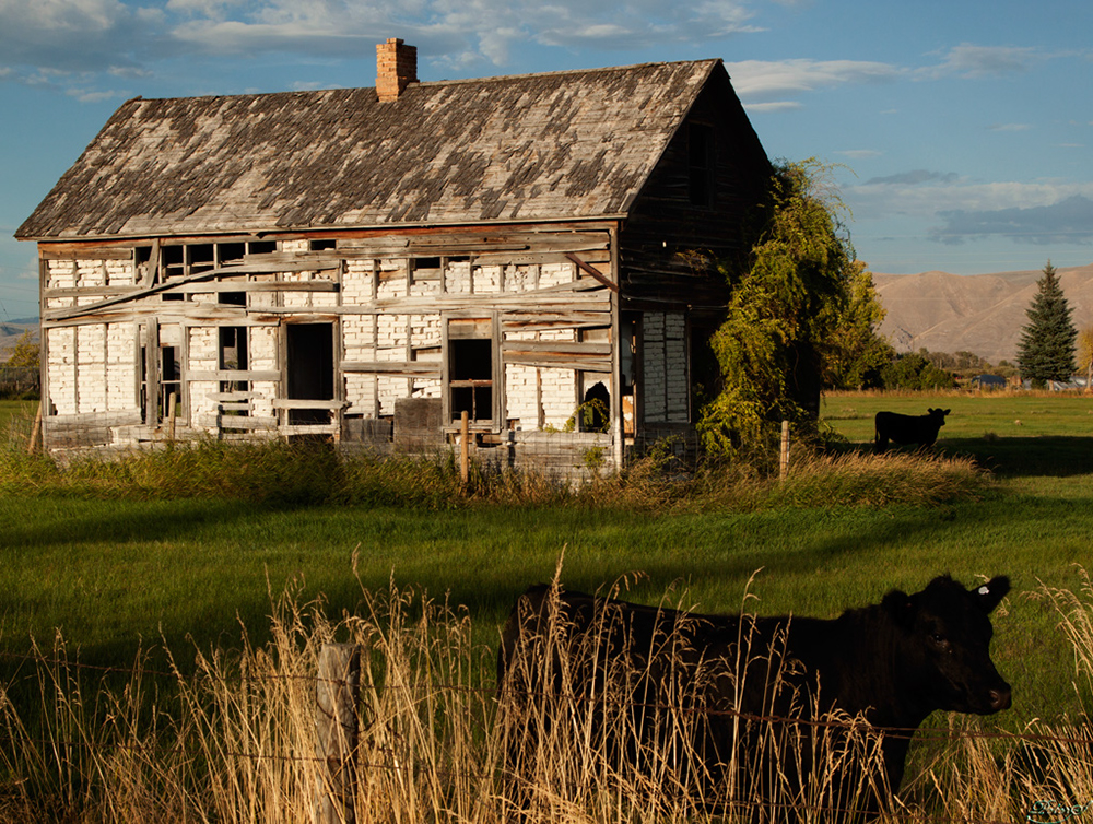 %_tempFileNameIMG_0970%