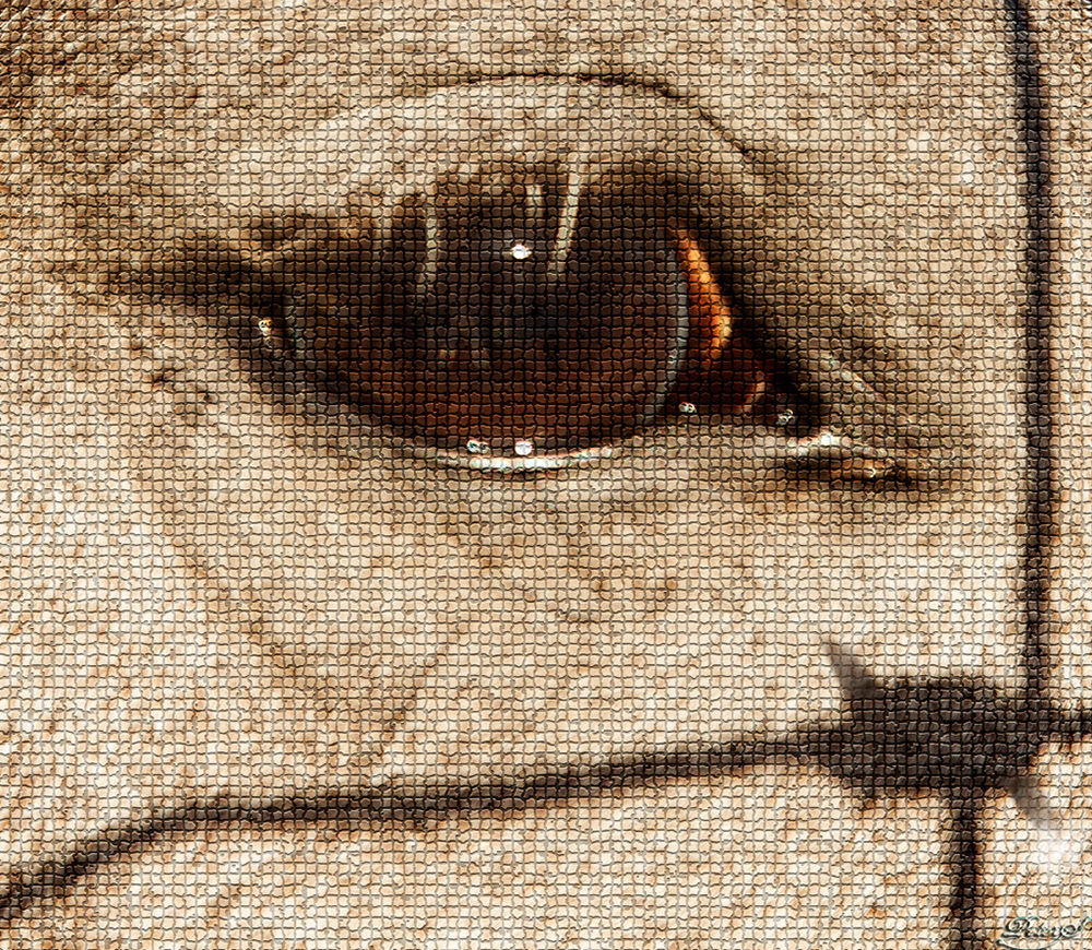 %_tempFileNameIMG_1014%