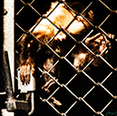 %_tempFileNameIMG_0811%