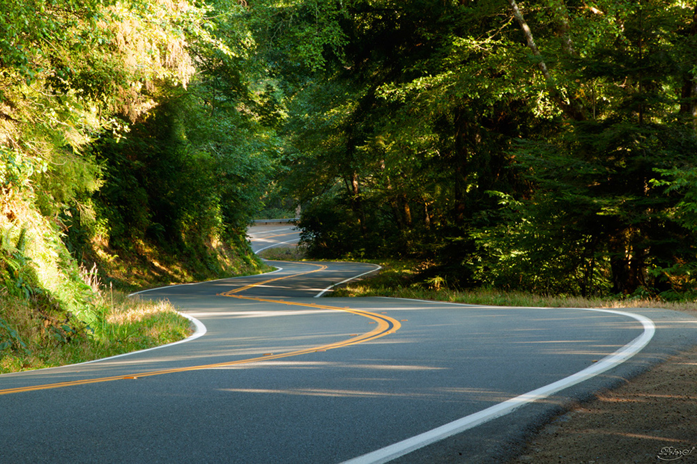 %_tempFileNameIMG_0536%