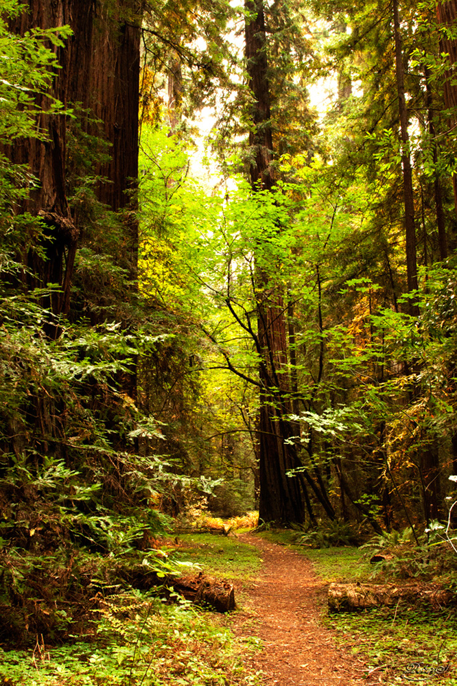 %_tempFileNameIMG_0568%