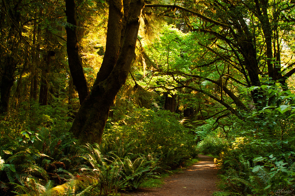 %_tempFileNameIMG_0584%