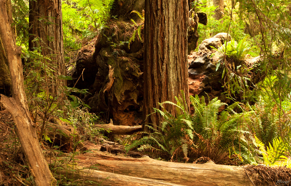 %_tempFileNameIMG_0604%