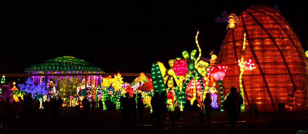 %_tempFileNameIMG_5934%