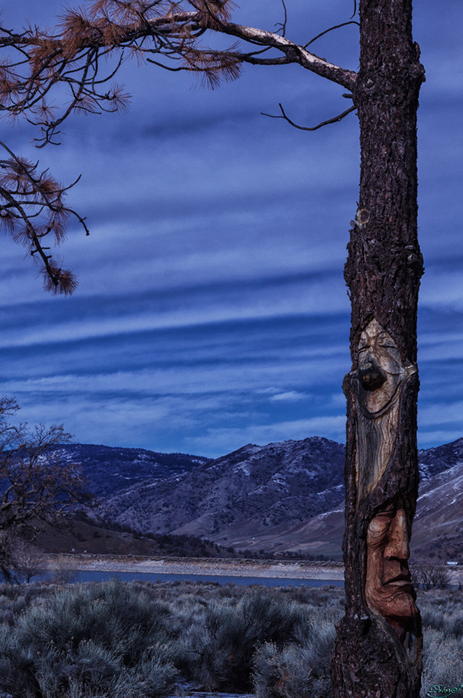 %_tempFileNameIMG_6000%