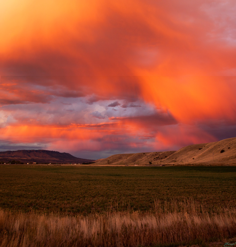 %_tempFileNameIMG_1617%