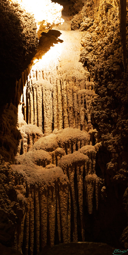 %_tempFileNameIMG_1670%