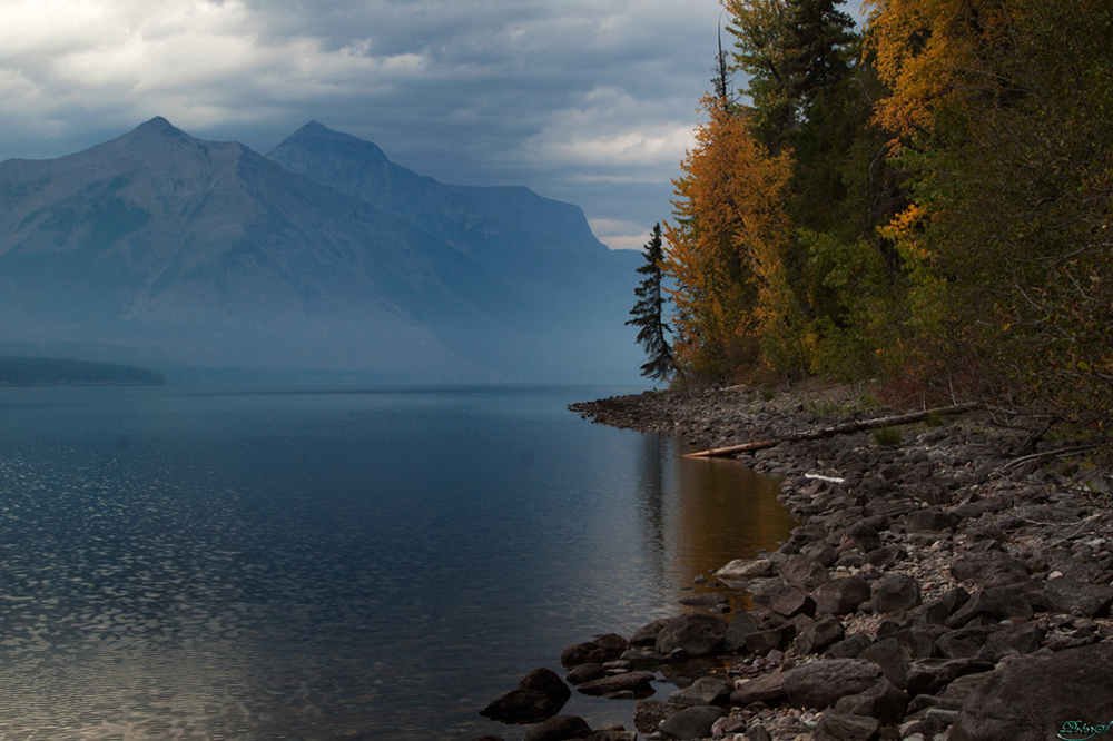 %_tempFileNameIMG_1691%