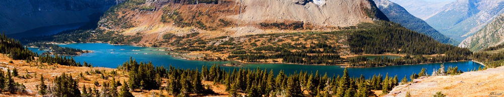 %_tempFileNameIMG_1741%