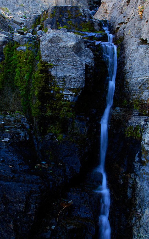 %_tempFileNameIMG_1743%