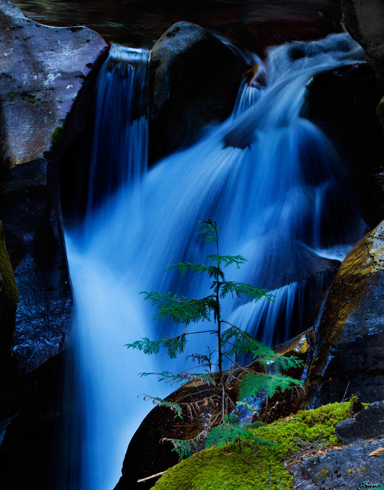 %_tempFileNameIMG_1762%