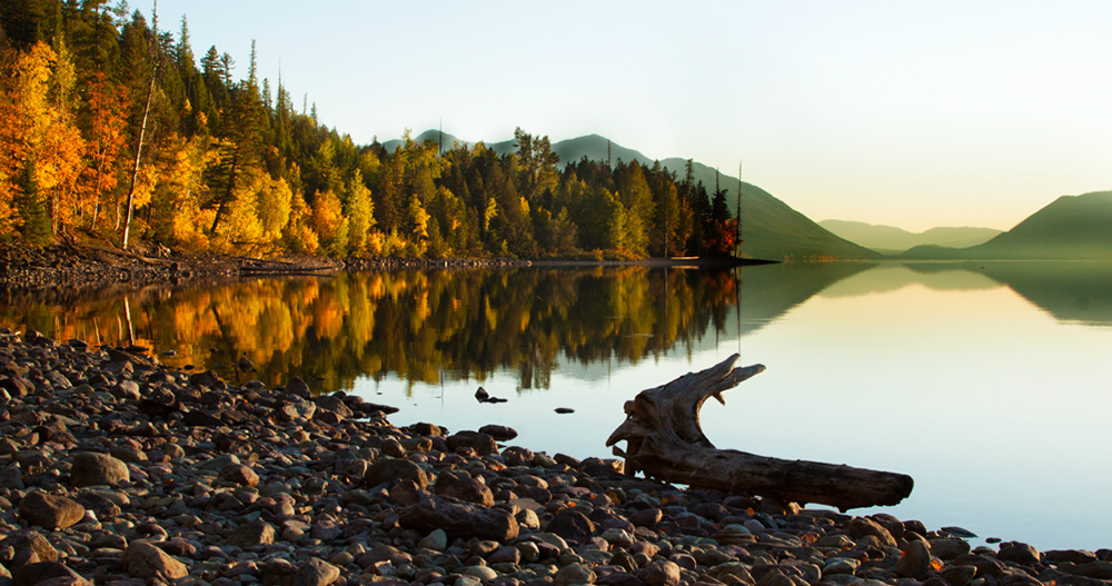 %_tempFileNameIMG_1772%