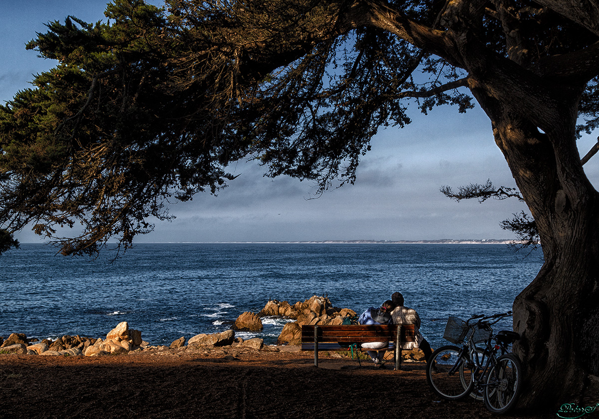 %_tempFileNameIMG_1512%