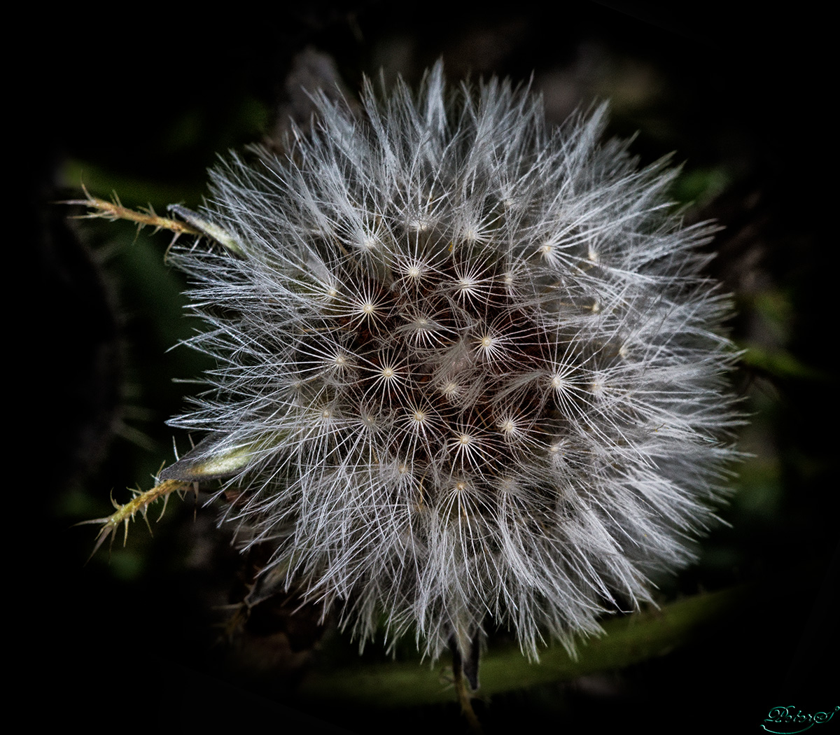 %_tempFileNameIMG_1532%