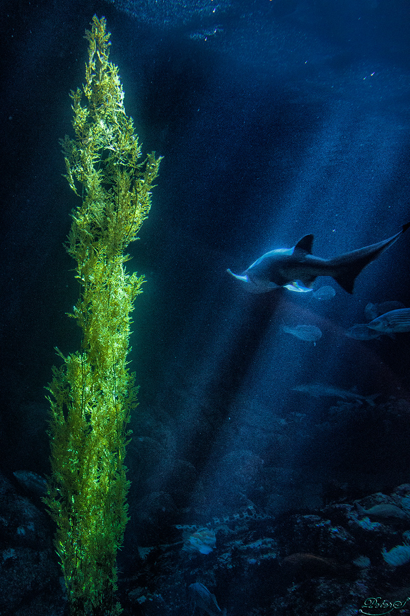 %_tempFileNameIMG_1574%