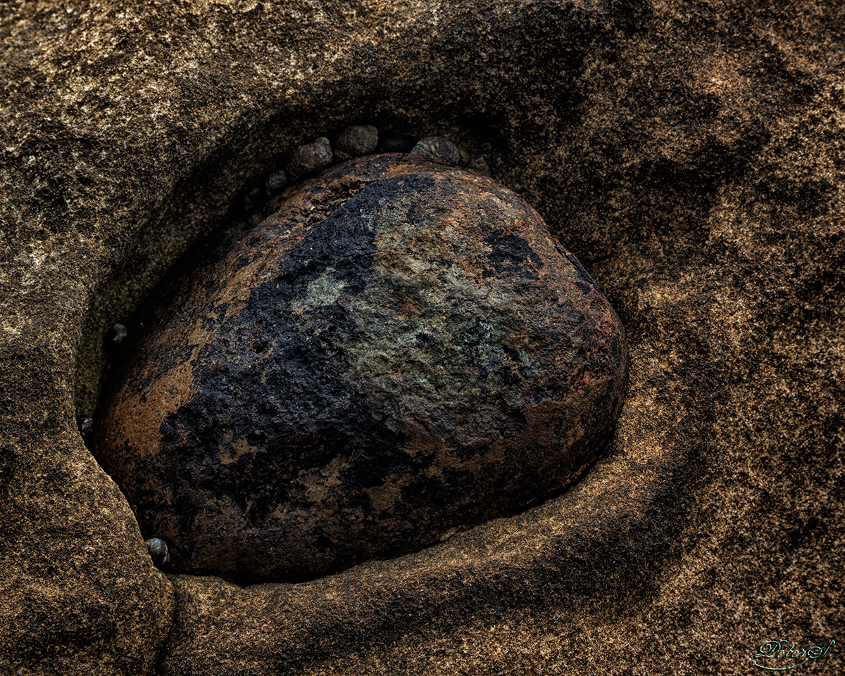 %_tempFileNameIMG_1625%