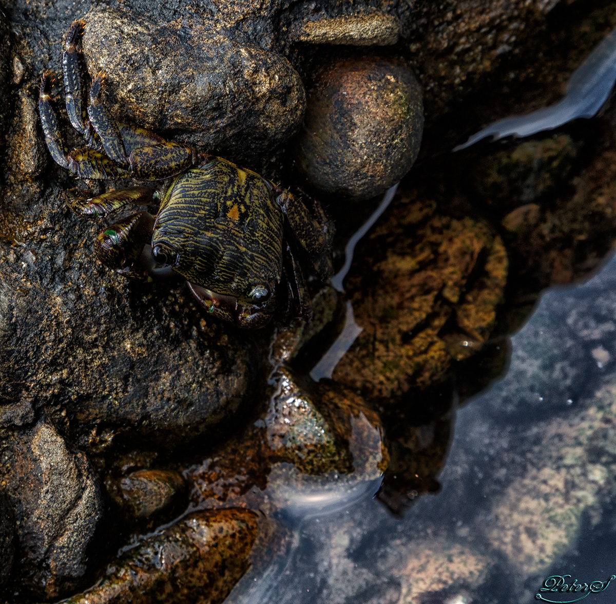 %_tempFileNameIMG_1627%