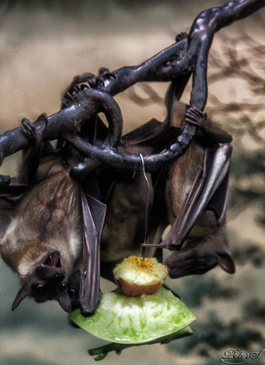 %_tempFileNameIMG_1676%