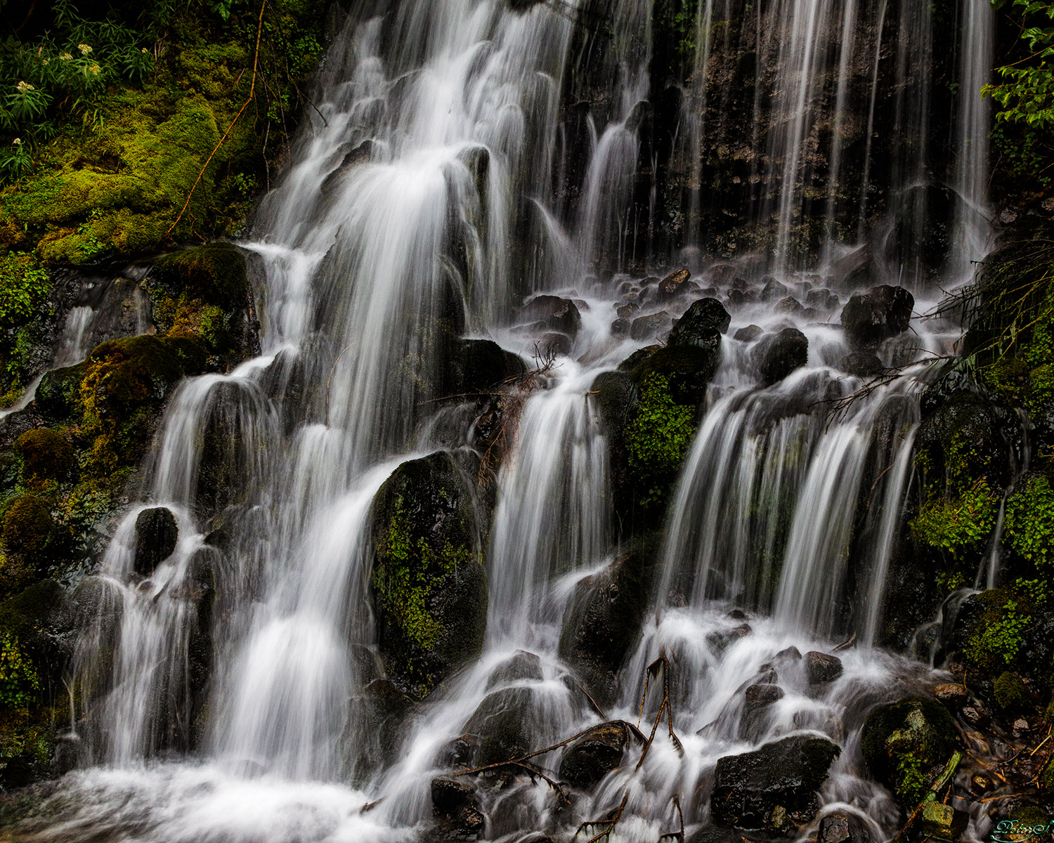 %_tempFileNameIMG_0093%