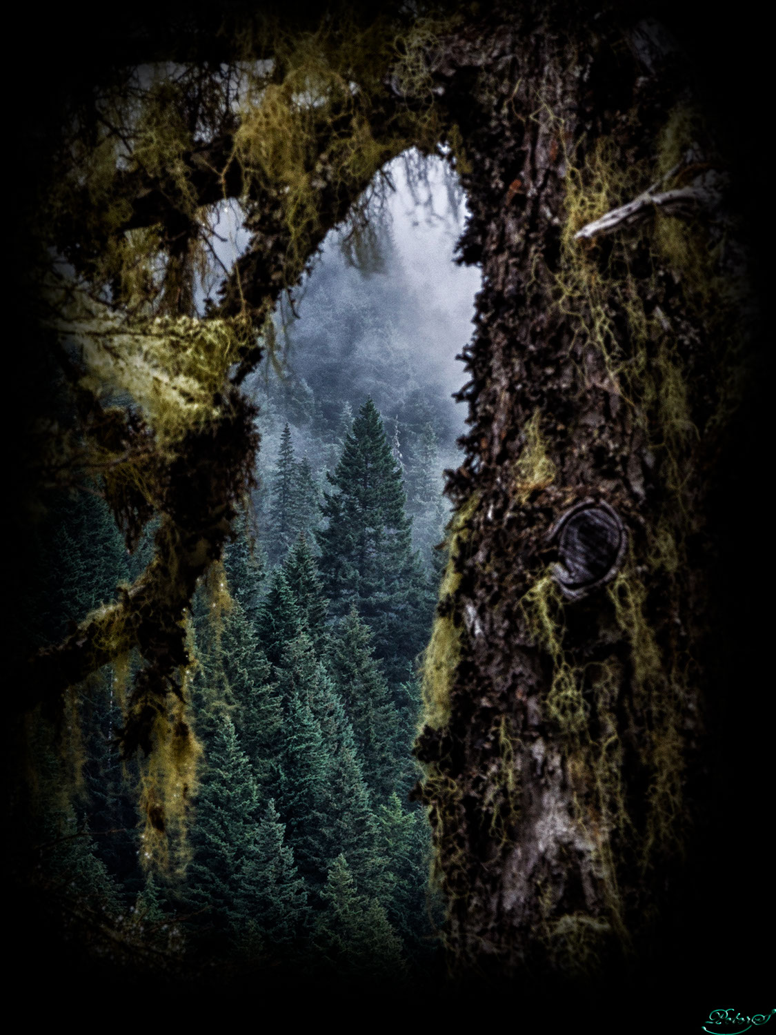 %_tempFileNameIMG_0097%