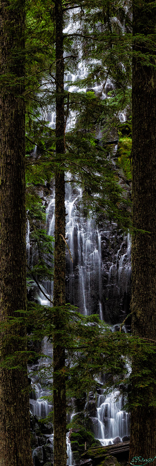 %_tempFileNameIMG_0103%