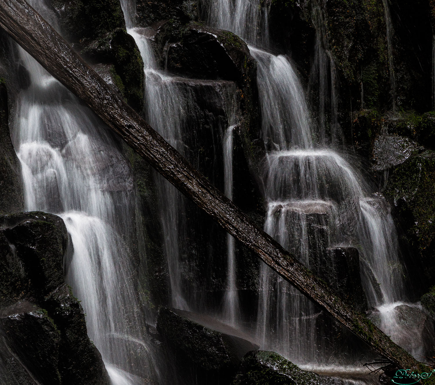 %_tempFileNameIMG_0113%