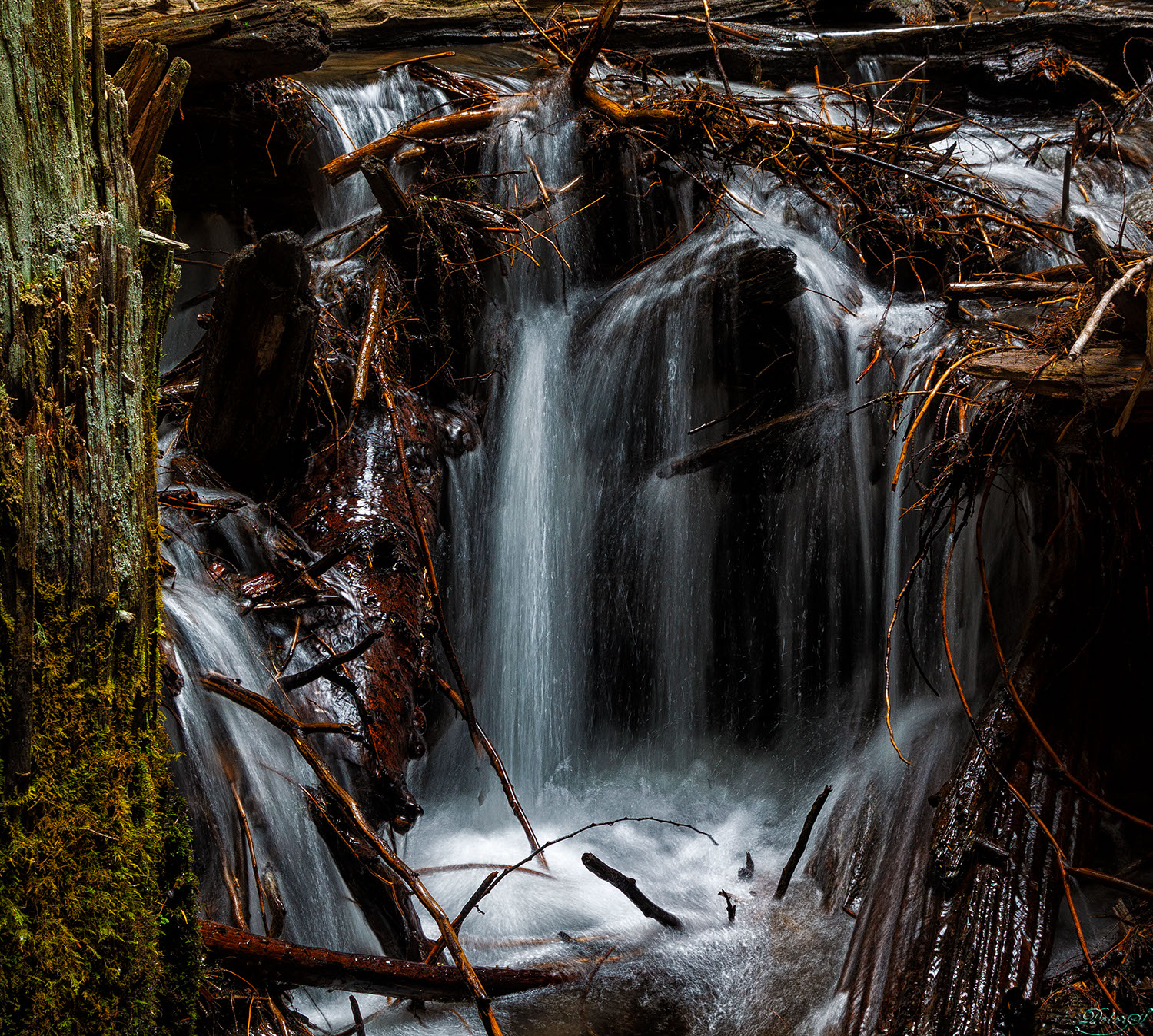 %_tempFileNameIMG_0115%