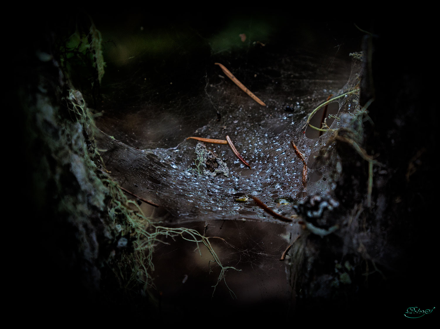 %_tempFileNameIMG_0118%