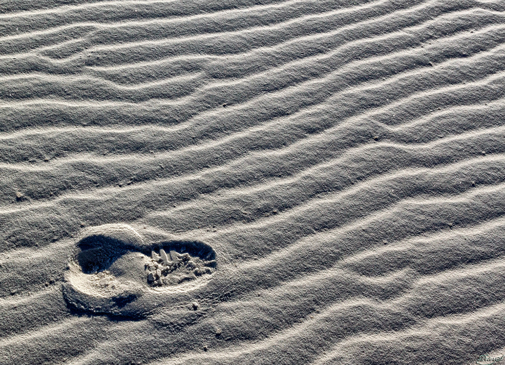 %_tempFileNameIMG_6250%