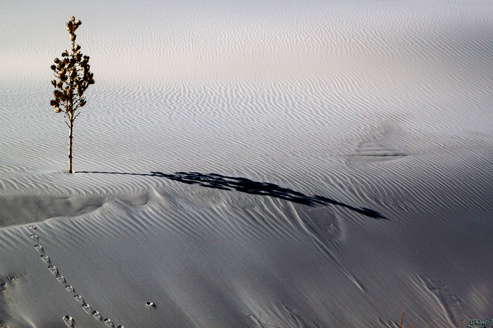 %_tempFileNameIMG_6262%