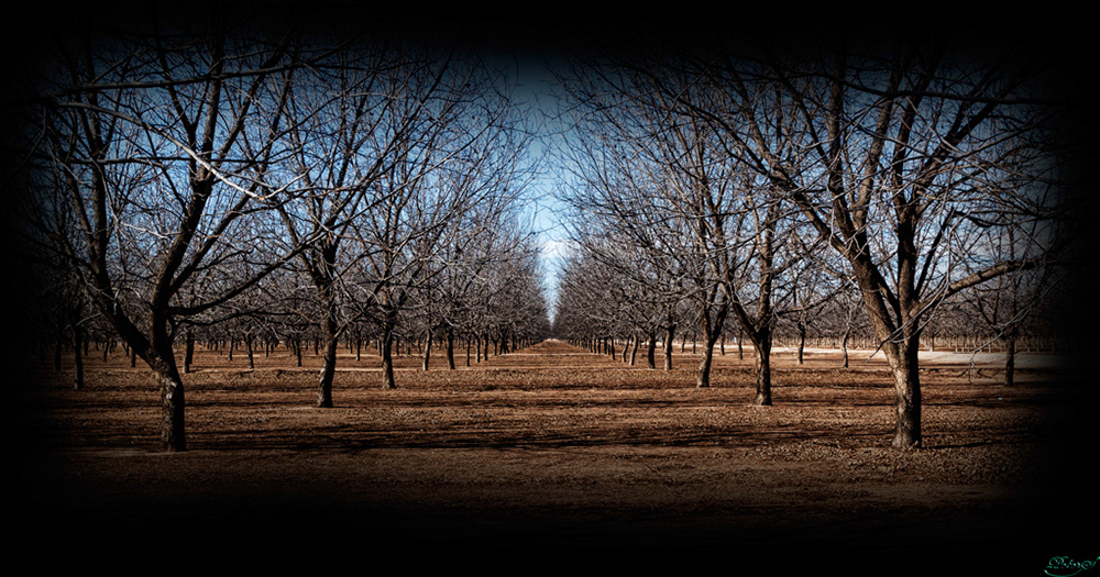 %_tempFileNameIMG_6305%