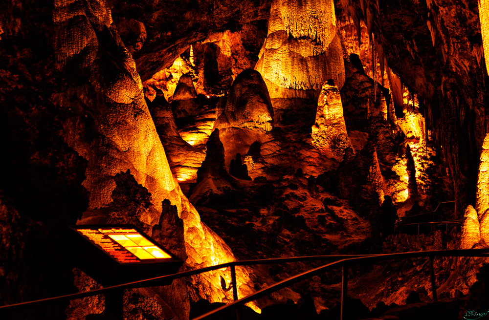 %_tempFileNameIMG_6325%