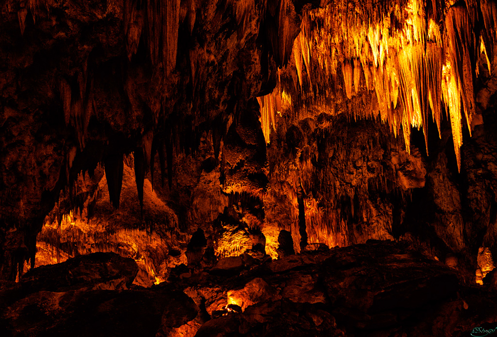 %_tempFileNameIMG_6359%