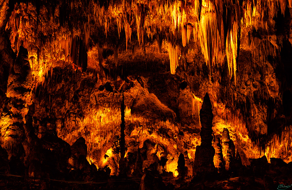 %_tempFileNameIMG_6360%