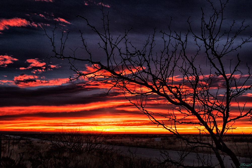 %_tempFileNameIMG_6393%