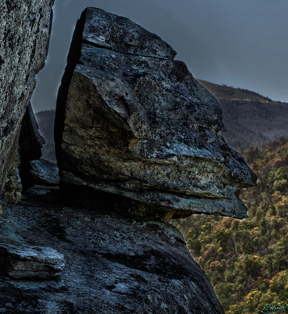 %_tempFileNameIMG_7538%