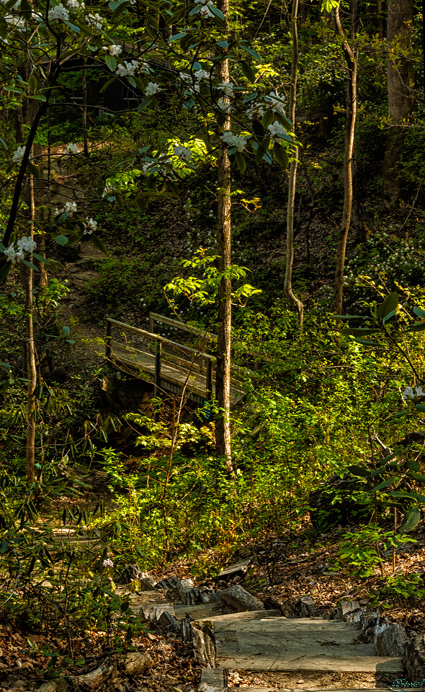 %_tempFileNameIMG_7549%